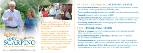 ReElect-Tony-Scarpino-Palm-Card-Back