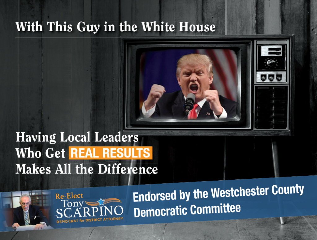 3-Scarpino_Mailer_3.indd